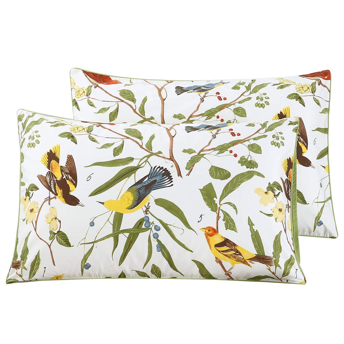 Winlife 100% Cotton Pillowcases 1000 Thread Count Pillow Cases Standard/King Size Pillow Cover Set Of 2 (King, Birds)