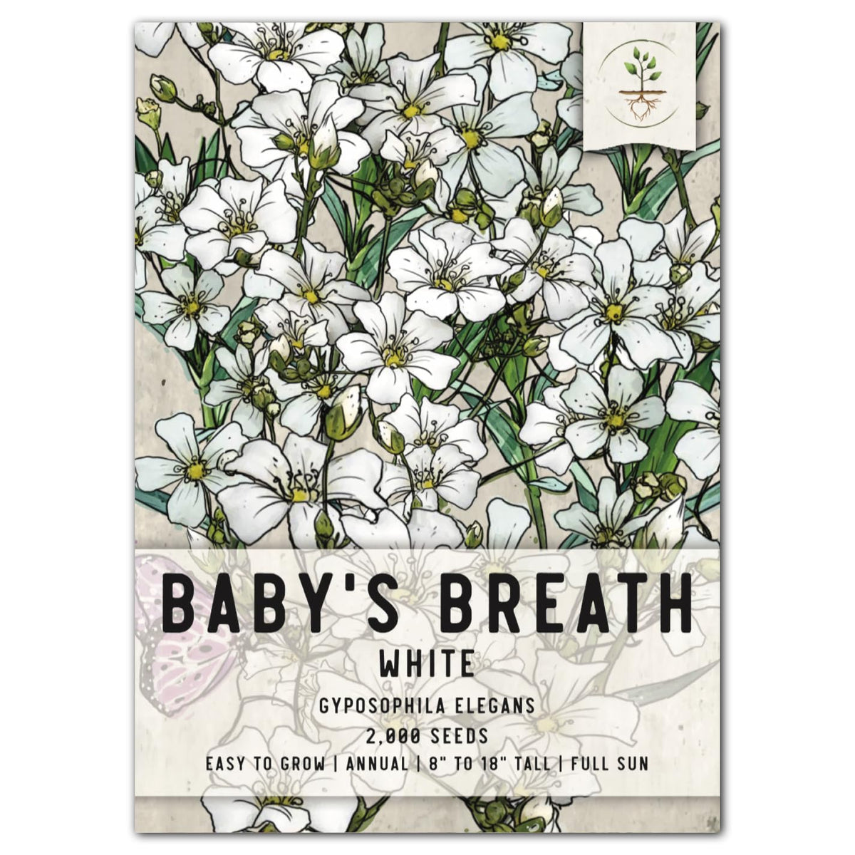 Seed Needs, White Baby'S Breath Seeds - 2,000 Heirloom Wildflower Seeds For Planting Gyposophila Elegans - Perfect For Bouquets