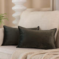 Juspurbet Ash Decorative Velvet Throw Pillow Covers 16X24 Inch Set Of 2,Broadside Soft Cushion Case With Invisible Zipper For So