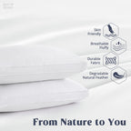 Puredown Goose Feather Down Pillow Gusseted Bed Pillows For Sleeping 100% Cotton Shell Set Of 2 King Size