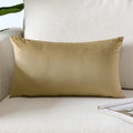 Artscope Luxury Velvet Pillow Covers Super Soft Decorative Rectangle Throw Pillow Covers Case Cushion Covers For Sofa Couch Bedroom Car Decor 16X24 Inch Tan