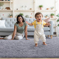 Grey Rug for Living Room Fluffy 4x6 ft Bedroom Rug Non-Slip Area Rugs Shag Carpet for Nursery Kids Play Room Dorm Office Indoor 