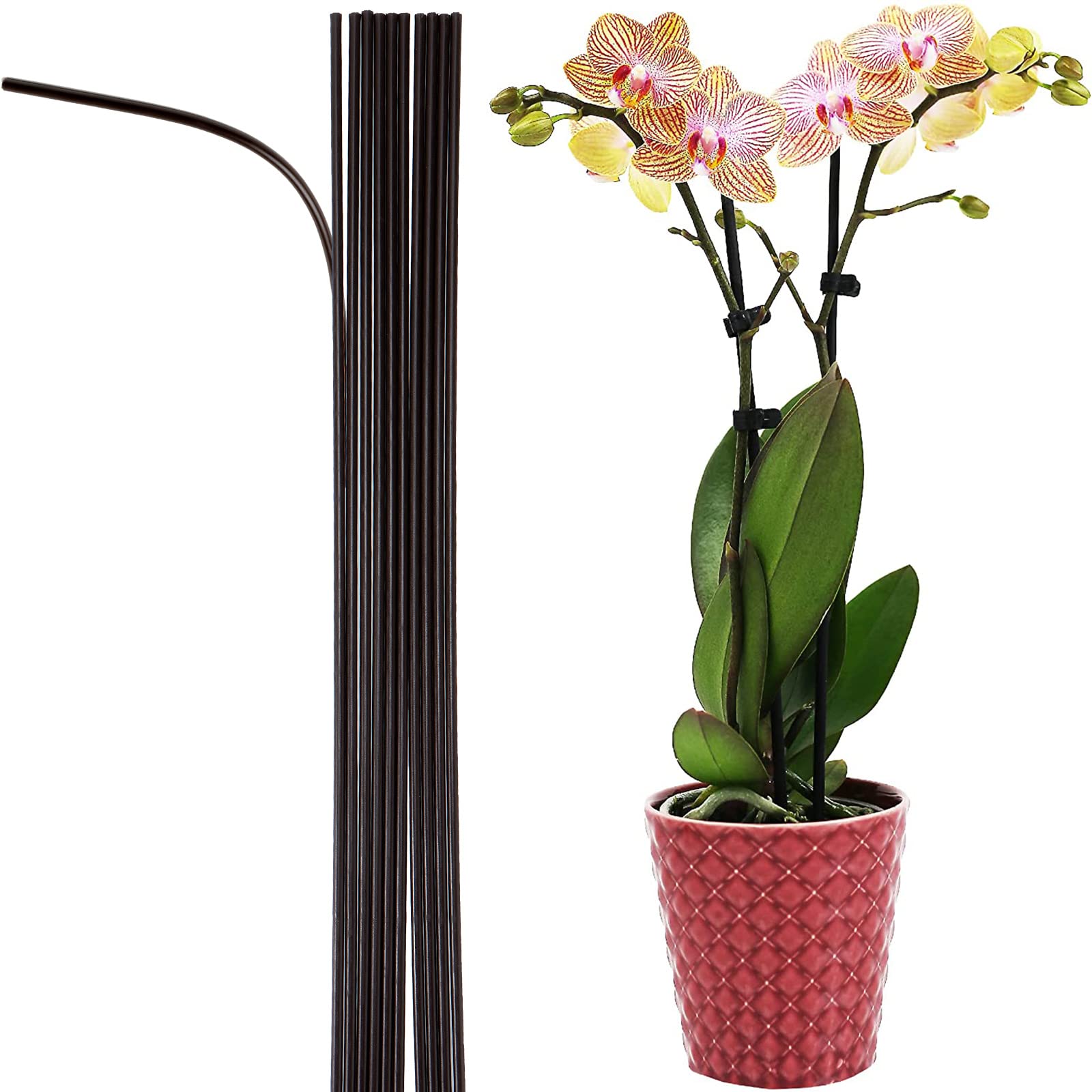 Eesc2Y 10-Pcs 15-3/4' Plastic Coated Orchid Stakes For Plants Support, Bendable Orchid Support Stakes - Brown