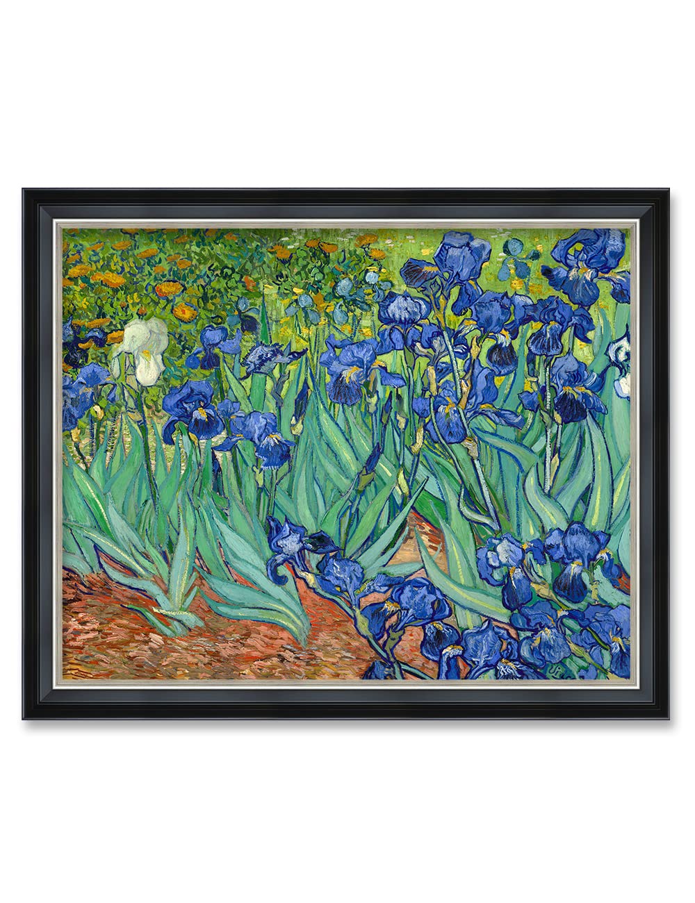 DECORARTS - Irises in the Garden by Vincent Van Gogh. Giclee Print Art Reproduction with matching Solid Wood Frame in Classical 