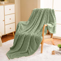 Vessia Flannel Fleece Twin Size Blanket(60X80 Inch), 3D Jacquard Sage Green Fuzzy And Warm Blanket For Couch,Sofa, 300Gsm Super