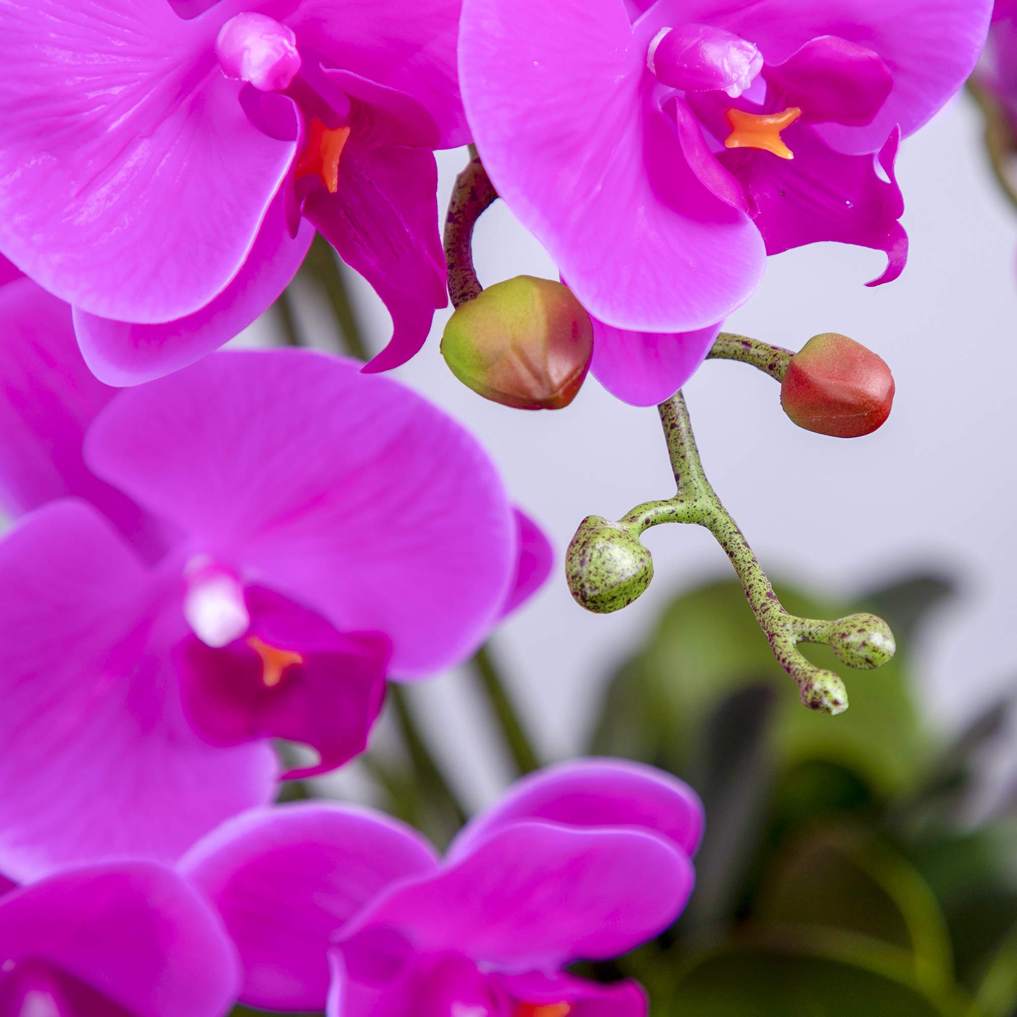 Fnize Artificial Orchid Stems Real Touch Latex Phalaenopsis Branches Faux Cymbidium Flowers 9 Large Petals 38 Inches 2Pcs (Rose