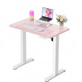 ErGear Height Adjustable Electric Standing Desk, 31 x 19 Inches Sit Stand up Desk, Memory Computer Home Office Desk, Pink