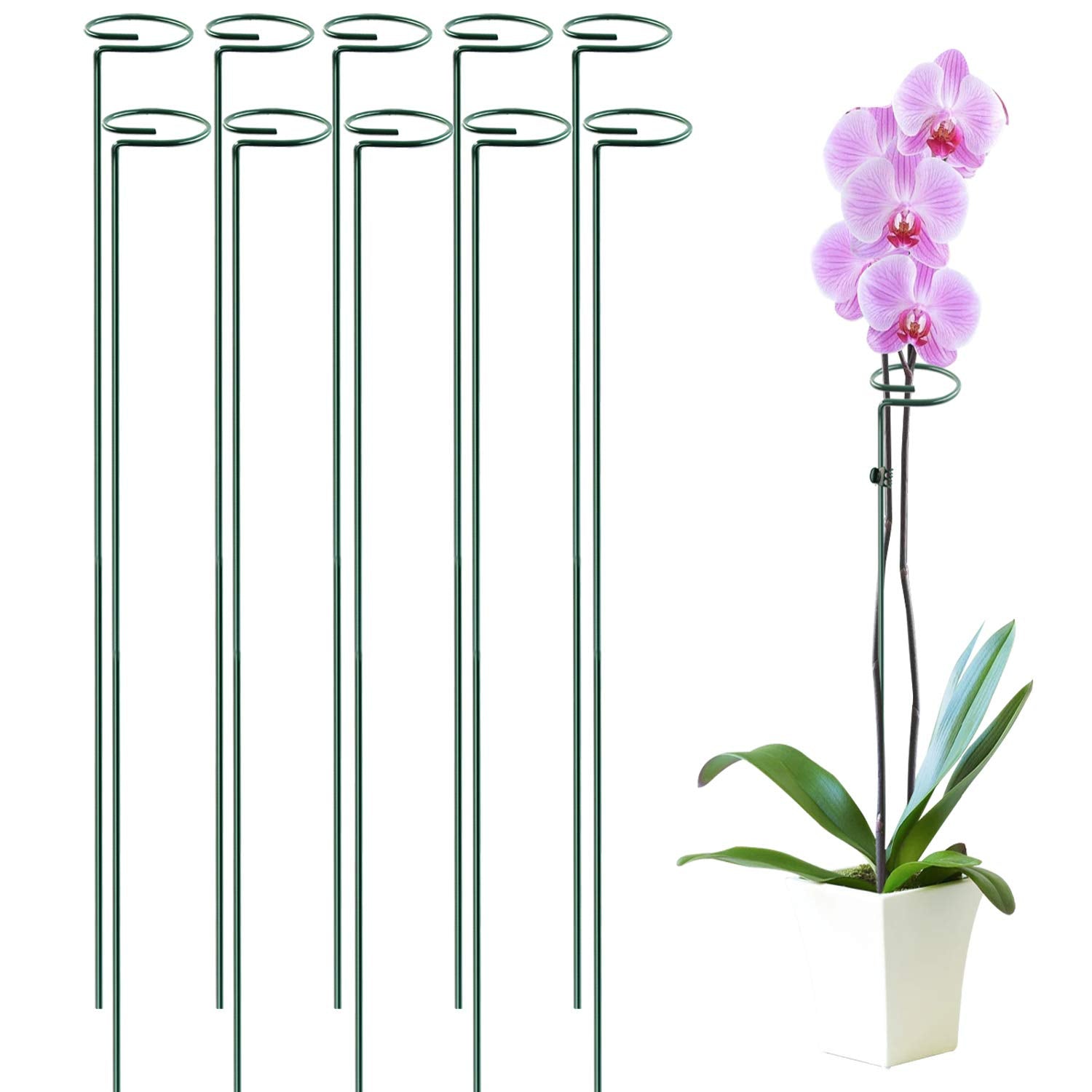Higift 10 Pack 36 Inch Plant Support Stake For Tall Plant, Garden Single Stem Flower Support Stake Indoor Plant Cage Support Rin