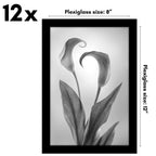 Americanflat 8X12 Picture Frame With Polished Plexiglass - Set Of 12 - Signature Collection - Picture Frames With Engineered Woo