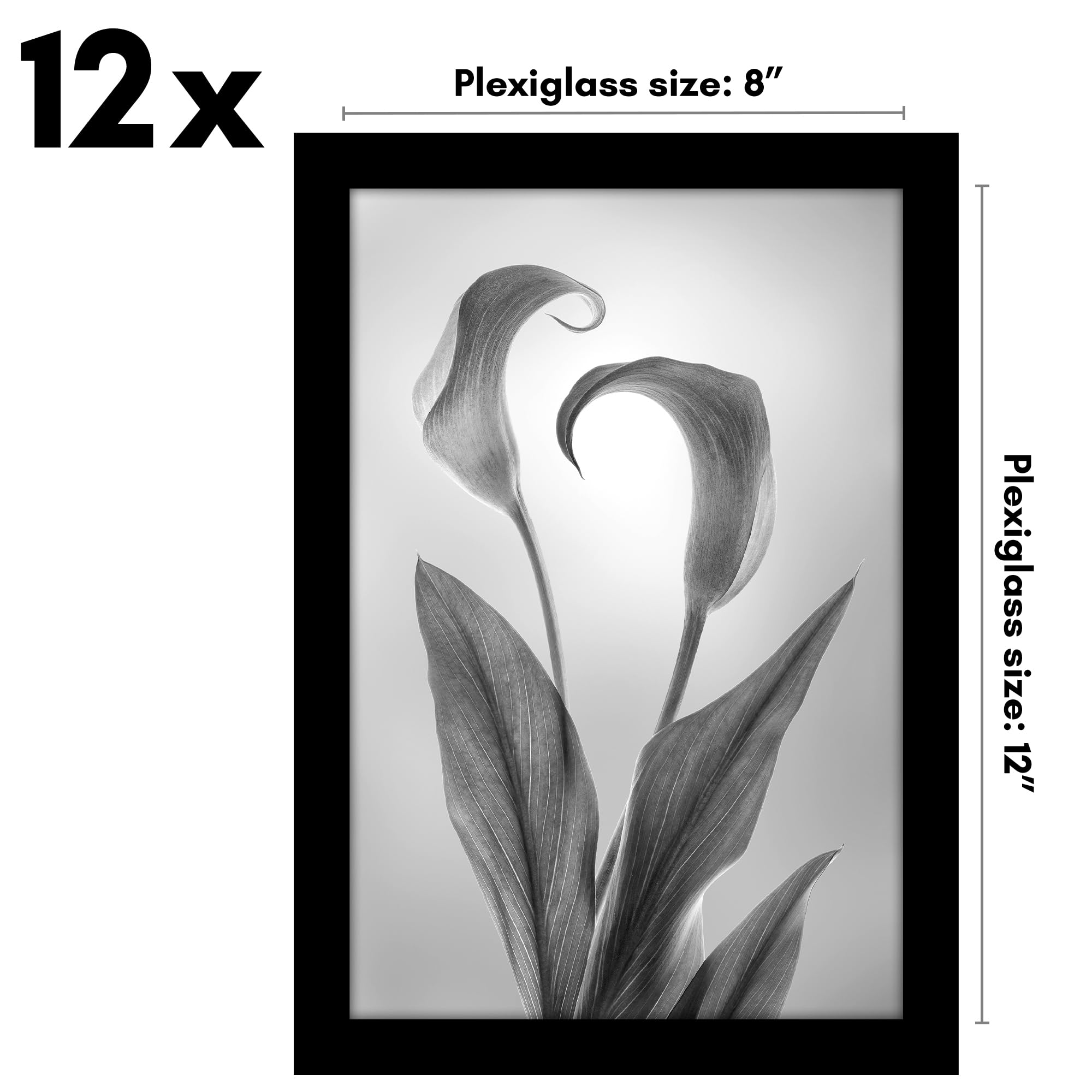 Americanflat 8X12 Picture Frame With Polished Plexiglass - Set Of 12 - Signature Collection - Picture Frames With Engineered Woo