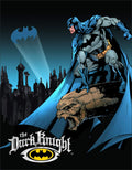 Signs 4 Fun SIG356 Batman Dark Knight Metal Tin Sign, Blue