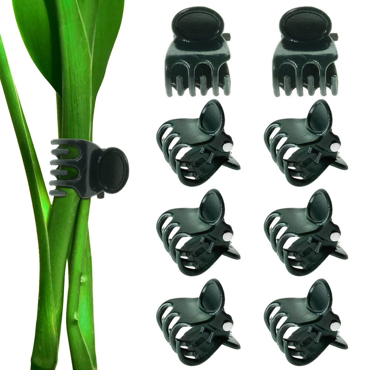 Beadnova Orchid Clips 300Pcs Orchid Support Clips Vine Clips Plant Clips For Flower Orchid Vine (300Pcs)