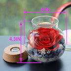 Roliys Preserved Real Roses With Colorful Mood Light Wishing Bottle, Eternal Rose,Never Withered Flowers, Table Decor,Christmas