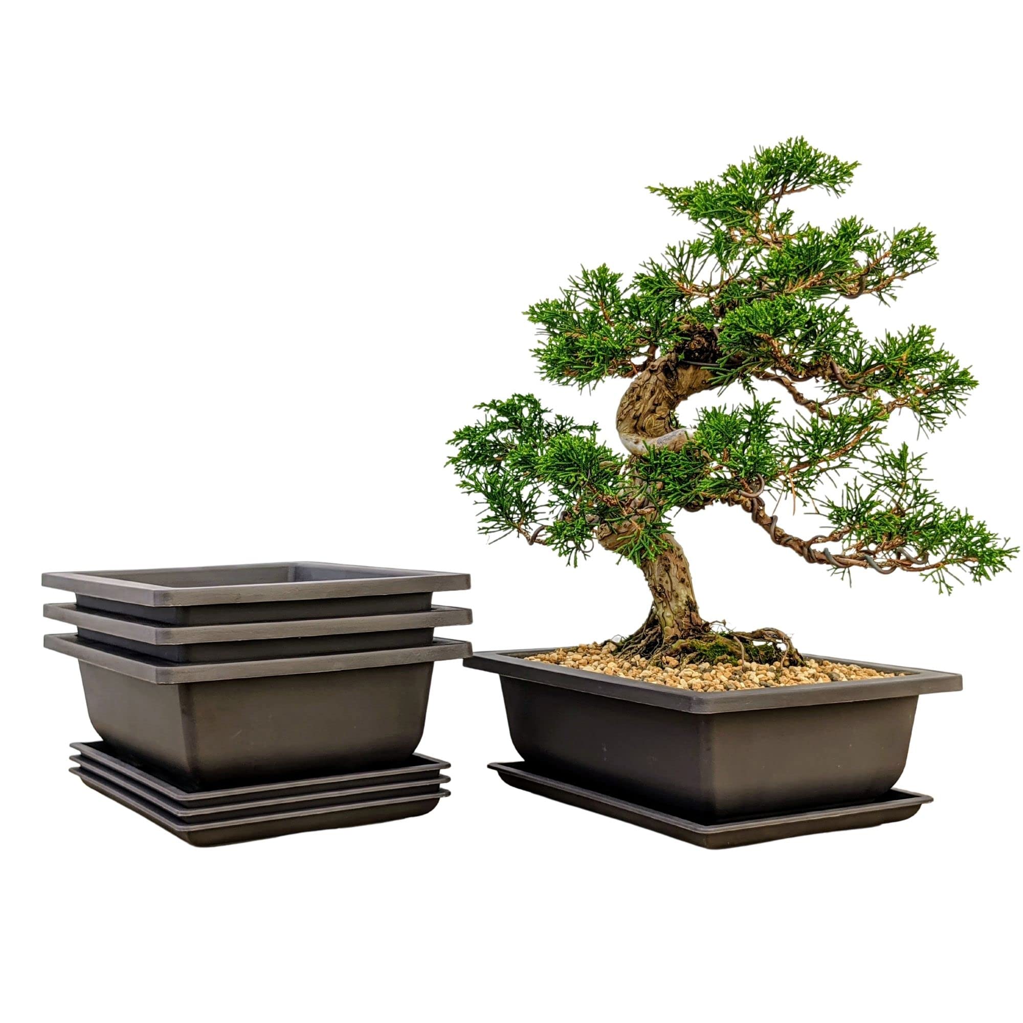 Bonsai Outlet Training Pots With Humidity Trays - Built In Mesh, Brown 8-Inch Large Planters + Made From Durable Shatter Proof P