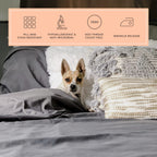 Peachskinsheets Graphite Gray Sheet Set - 1500Tc Level Of Softness - Extra Soft Cooling Sheets For Hot Sleepers And Night Sweats