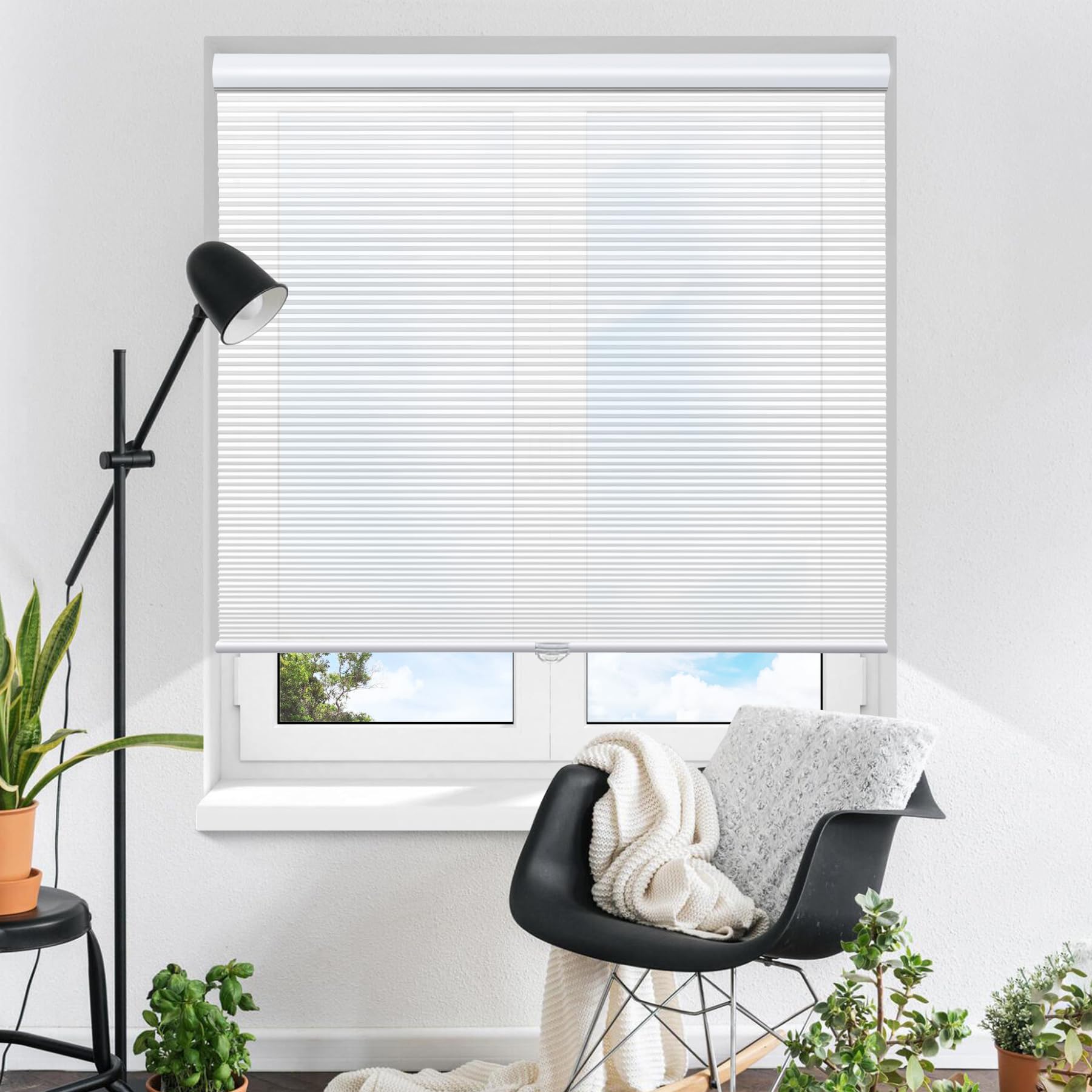 Cordless Light Filtering Cellular Shades Blinds Single Cell Shades for Windows, 36'' W by 64'' H, White(Light Filtering)