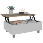 Aran Lift Top Coffee Table, Storage Compartment, White/Light Oak