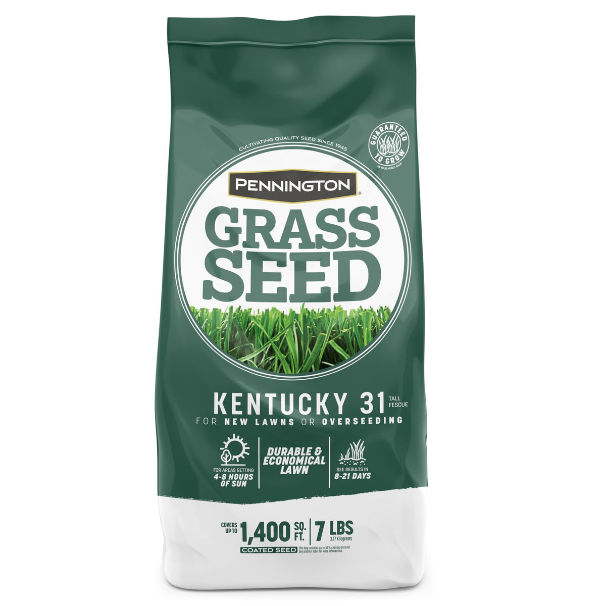 Pennington Kentucky 31 Tall Fescue Penkoted Grass Seed 7 Lb