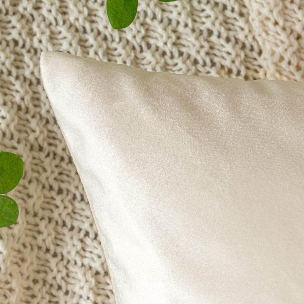 Emema Pack Of 2 Velvet Pillow Covers Decorative Square Pillowcase Soft Solid Cushion Case For Sofa Bedroom Car 16X16 Inch Cream