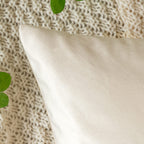 Emema Pack Of 2 Velvet Pillow Covers Decorative Square Pillowcase Soft Solid Cushion Case For Sofa Bedroom Car 16X16 Inch Cream