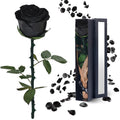 YAMPP Preserved Flowers Gifts for Women Mom: Black Roses for Christmas Anniversary Mothers Day Wedding Gift for Girlfriend Wife