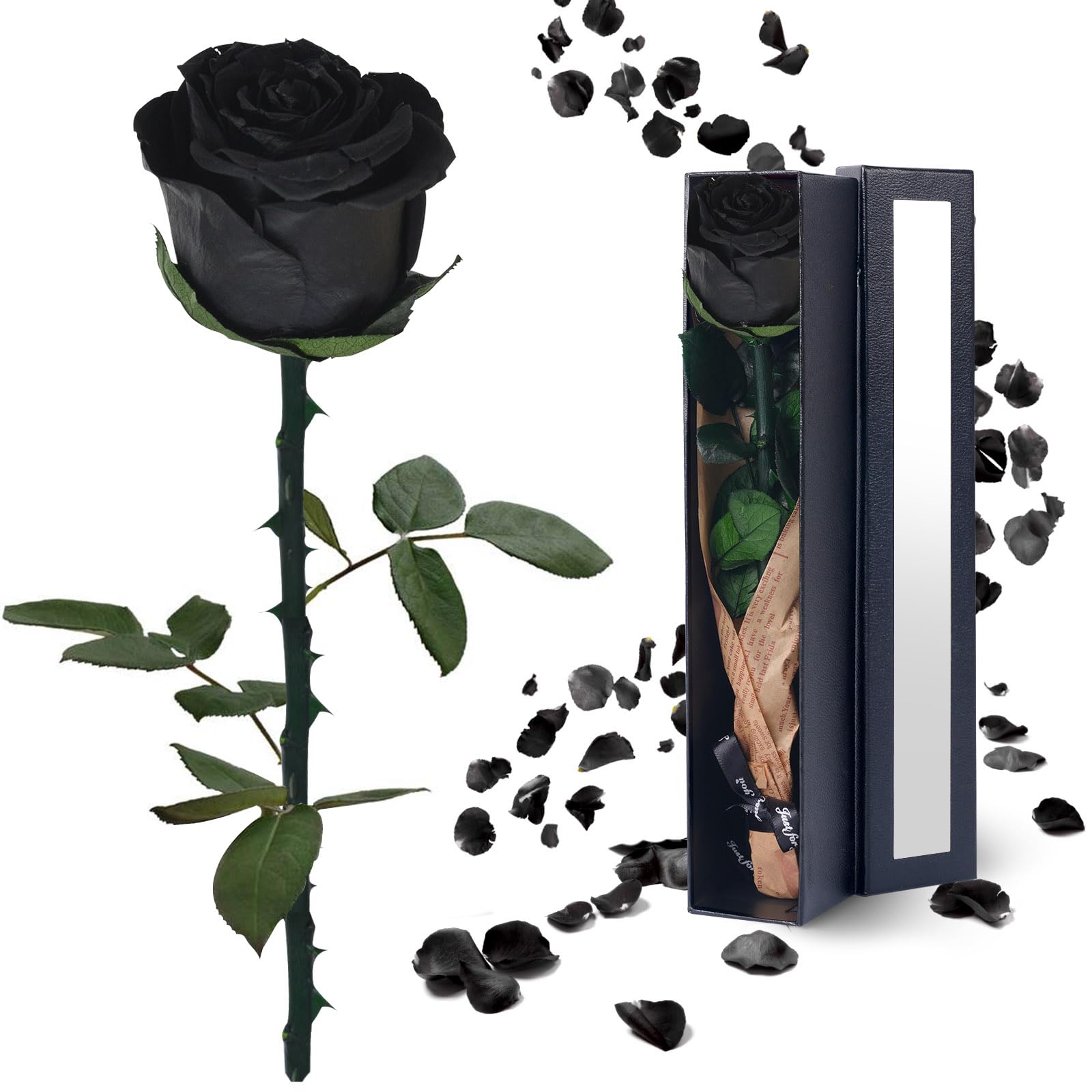 YAMPP Preserved Flowers Gifts for Women Mom: Black Roses for Christmas Anniversary Mothers Day Wedding Gift for Girlfriend Wife