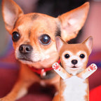 Agrimony Chihuahua Funny Dog Hand Towels For Kitchen Bathroom - Dog Mom Gifts For Women Dog Dad Gifts For Men- Mothers Fathers D