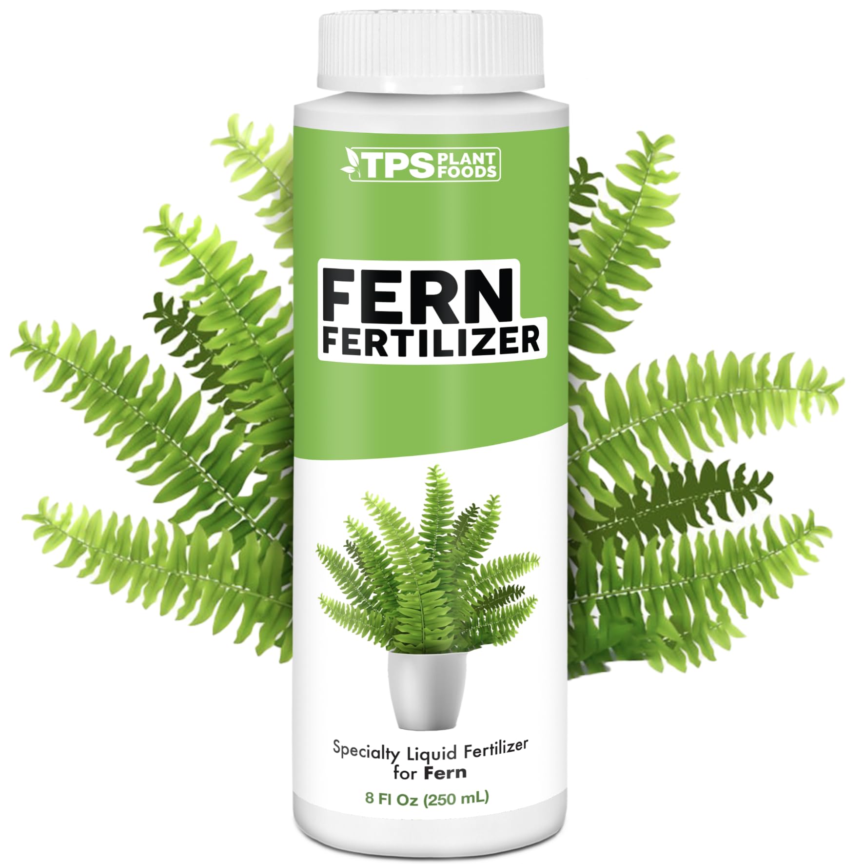 Fern Fertilizer For All Ferns And Mosses, Liquid Plant Food 8 Oz (250Ml)