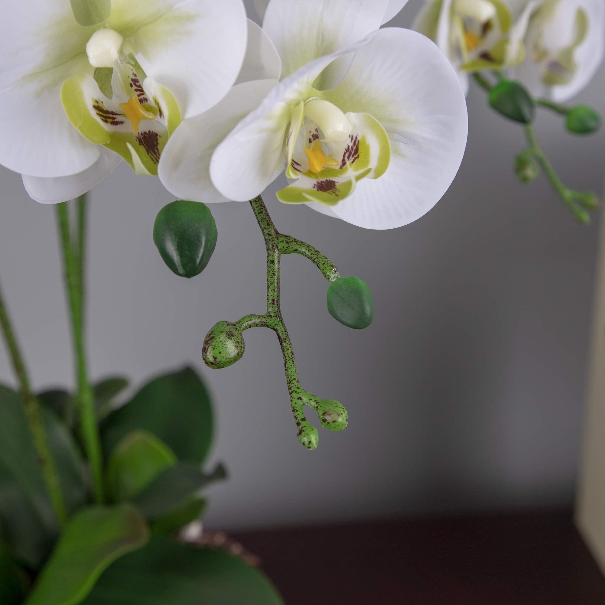 Fnize Faux Orchid Stems Real Touch Artificial Phalaenopsis Flowers Latex Petals 38 Inches 2Pcs (Green White)