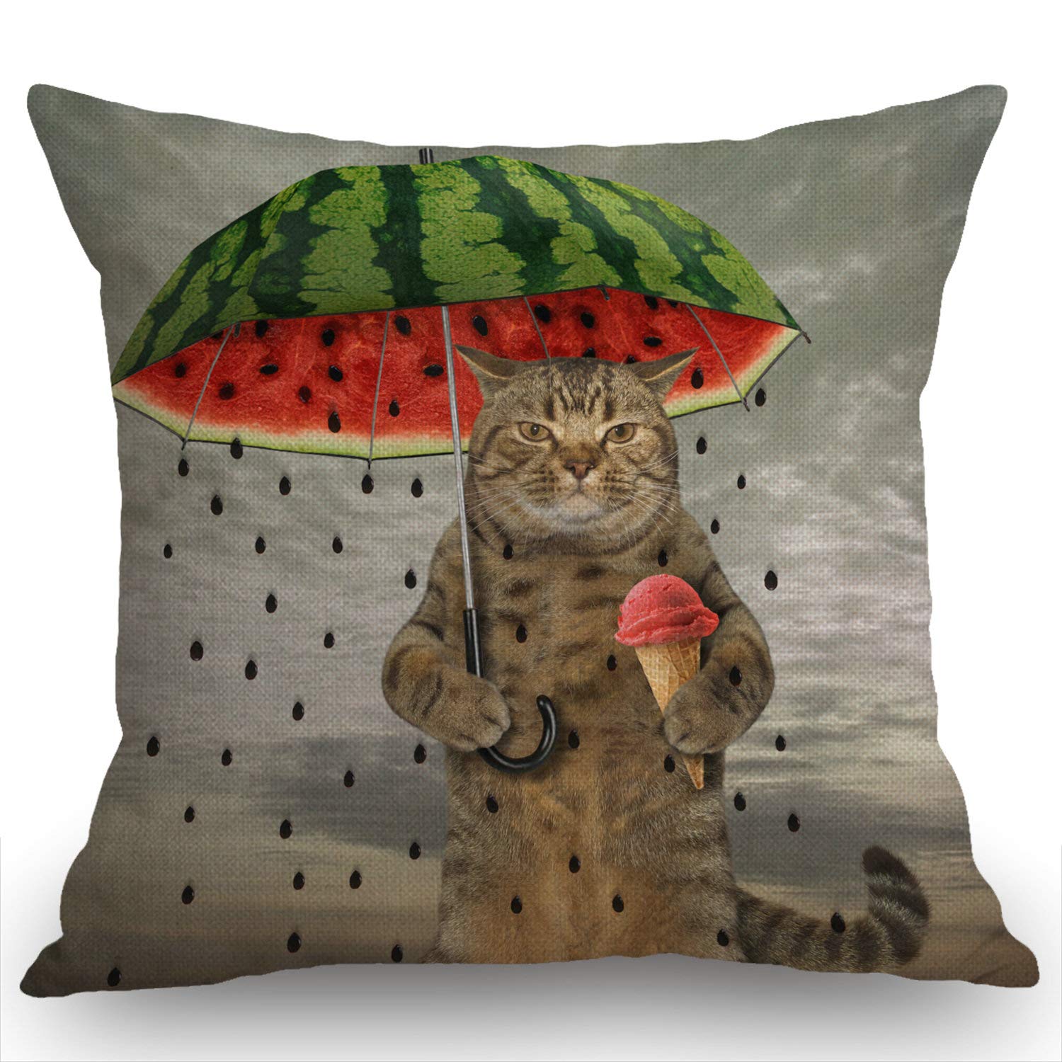 Swono Funny Animal Cat Throw Pillow Cover The Cute Cat Is Holding An Umbrella In One Paw And Fruit Ice Cream In Other Decorative