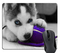 Knseva Siberian Husky Pup Playing With Purple Ball Mouse Pad Cute Large Mouse Pads Custom