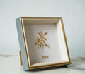 PLUSCHEN 5x5 Blue Beige Square Picture Frame, 5x5 Resin Photo Frame, Wall and Desktop Display Picture Frame, Plexiglass
