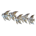 T.I. Design Angelfish School of 5 | Contemporary Coastal Tropical Fish Stainless Steel Metal Wall Decor