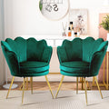 Czlolo Accent Chairs Set of 2 for Living Room, Velvet Upholstered Makeup Room Vanity Chair with Back, Golden Metal Legs Accent S