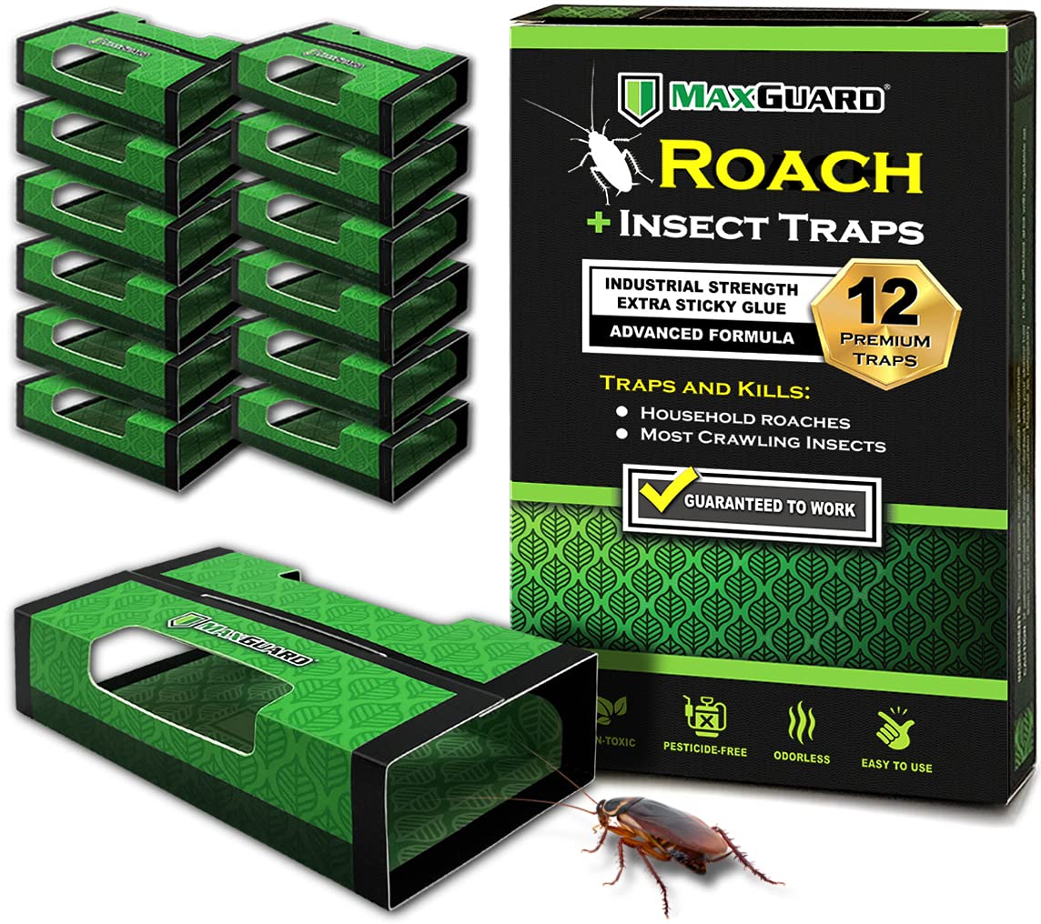 Maxguard Roach + Spider Traps (12 Box Traps) | Non-Toxic Extra Sticky Box Traps | Trap And Kill German Cockroach, American, And