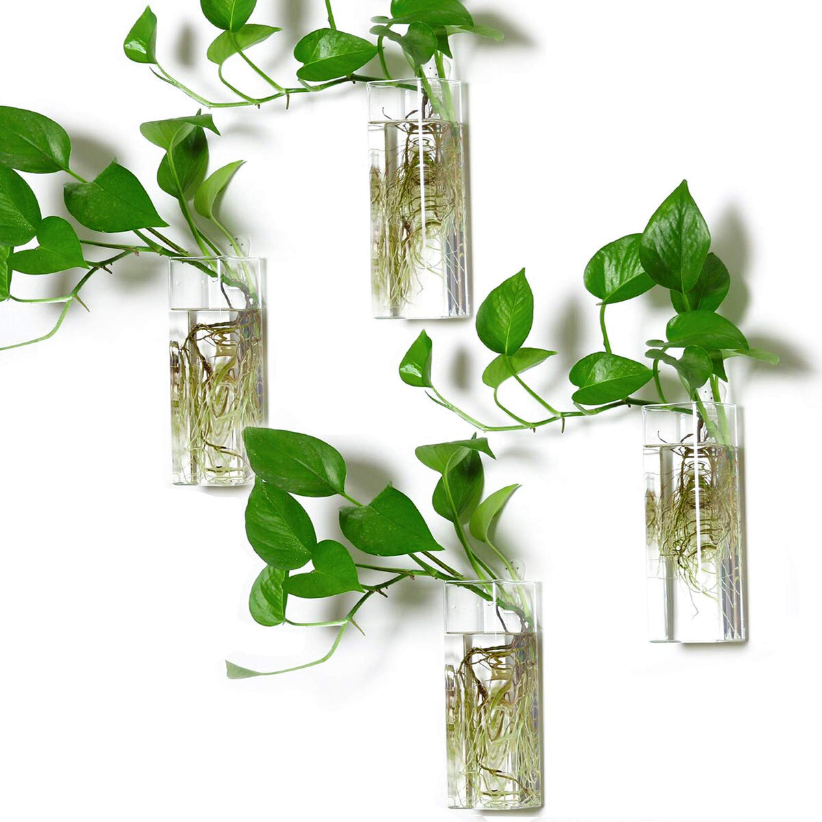 Kingbuy Wall Hanging Glass Planters Plant Terrarium For Home Office Garden Decor, Square Vase, 4 Pack