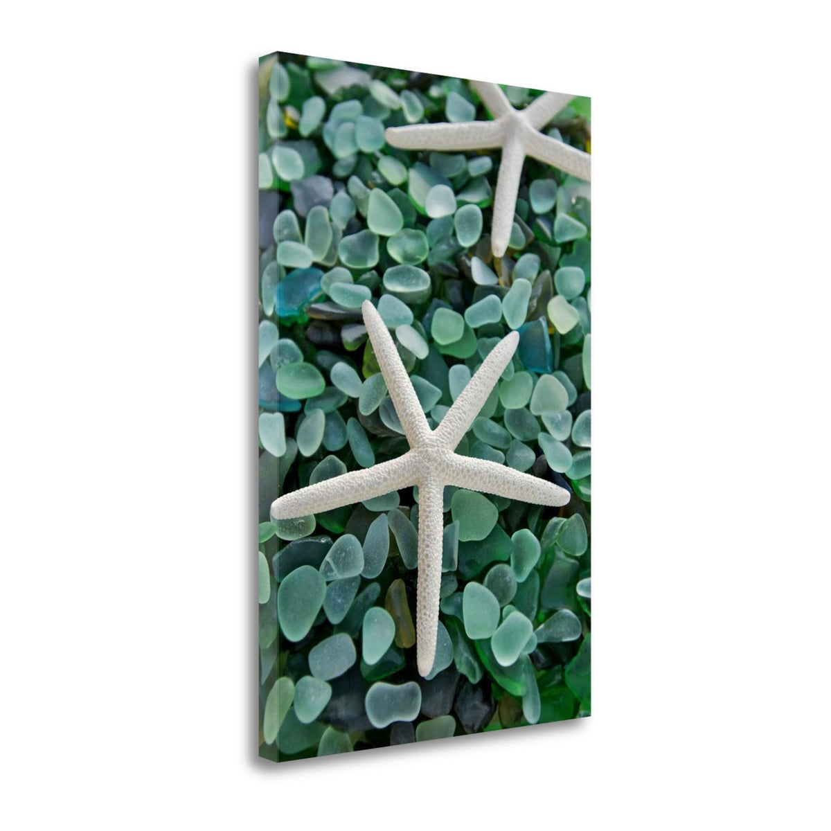 21' Two Starfish and Green Seaglass Giclee Wrap Canvas Wall Art