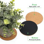 Coitak 6 Pieces Cork Mat For Plants, Round Cork Plant Coasters Mats For Garden, Courtyard, Pot Mat, Indoor Outdoor And Diy Craft