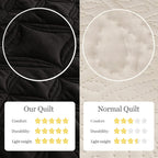Exclusivo Mezcla Full Queen Quilt Set, 3 Pieces Lightweight Quilts Soft Quilted Bedspreads Black Coverlets Bedding Set For All S