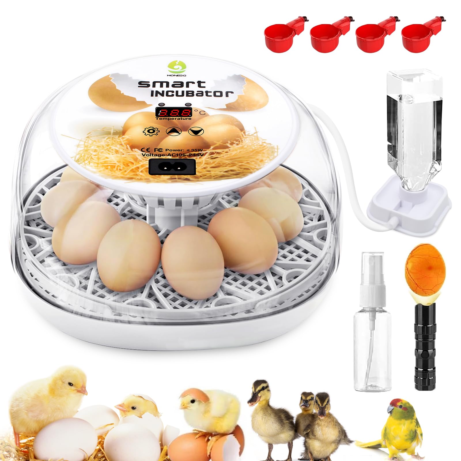 Egg Incubator With Automatic Egg Turning And Humidity Control - 12/24 Eggs, 360 View, Easy To Use And Clean - Egg Incubators For