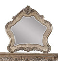 Acme Ragenardus Wooden Traditional Bedroom Mirror in Vintage Oak
