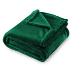 Sochow Flannel Fleece Throw Blanket 66    90 Inches, All Season Lightweight Soft Cozy Green Blanket For Bed, Sofa, Car
