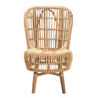 bali & pari Nagoya Natural Rattan Accent Chair, Light Honey/Natural Teak (235-13343-HiT)