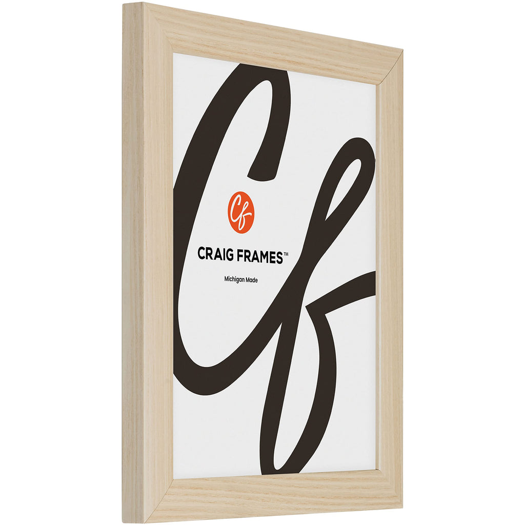 Craig Frames Contemporary, 22X34 Picture Frame, Natural
