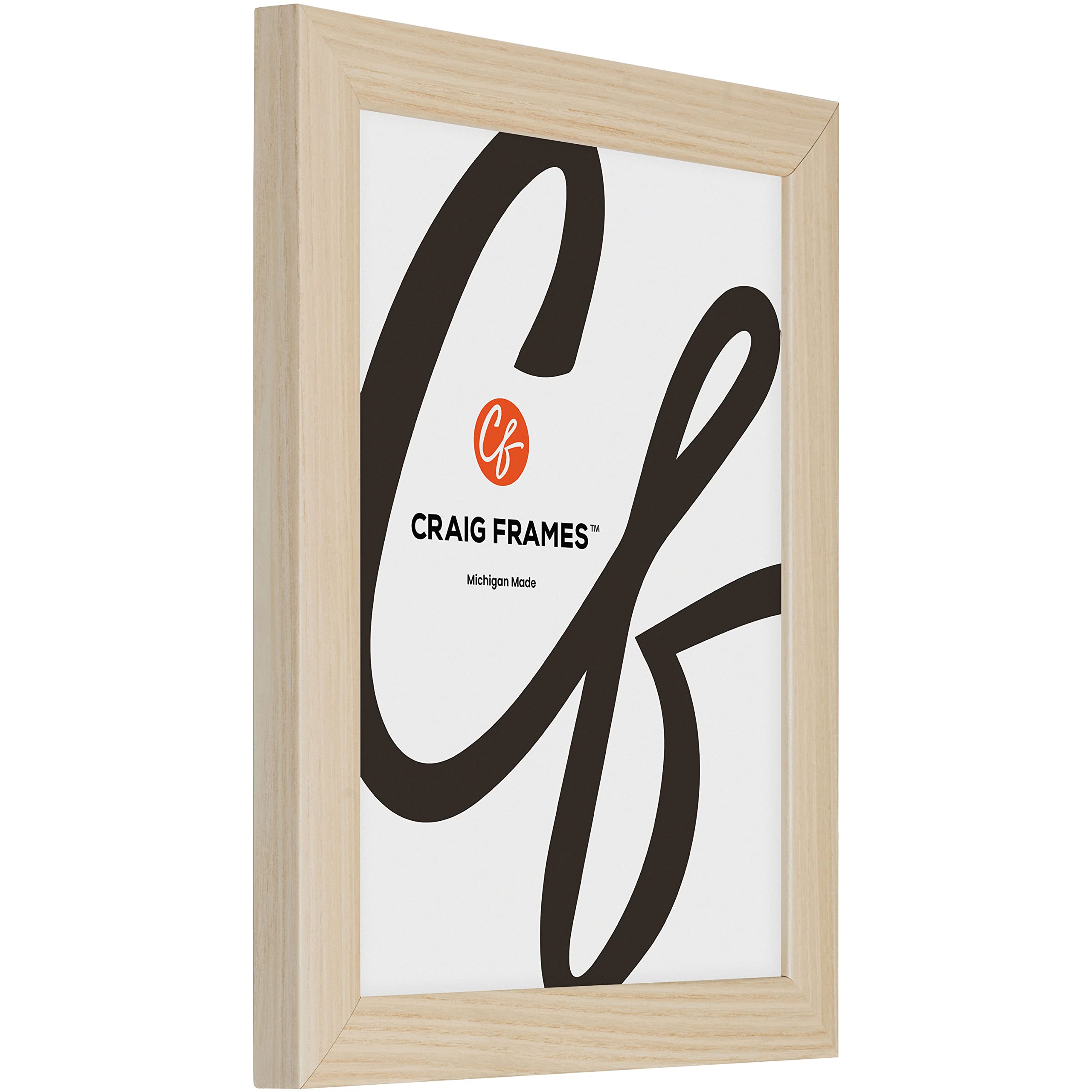 Craig Frames Contemporary, 18X26 Picture Frame, Natural