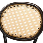 Baxton Studio Thalia Mid-Century Modern Dark Brown Finished Metal and Synthetic Rattan 2-Piece Outdoor Dining Chair Set