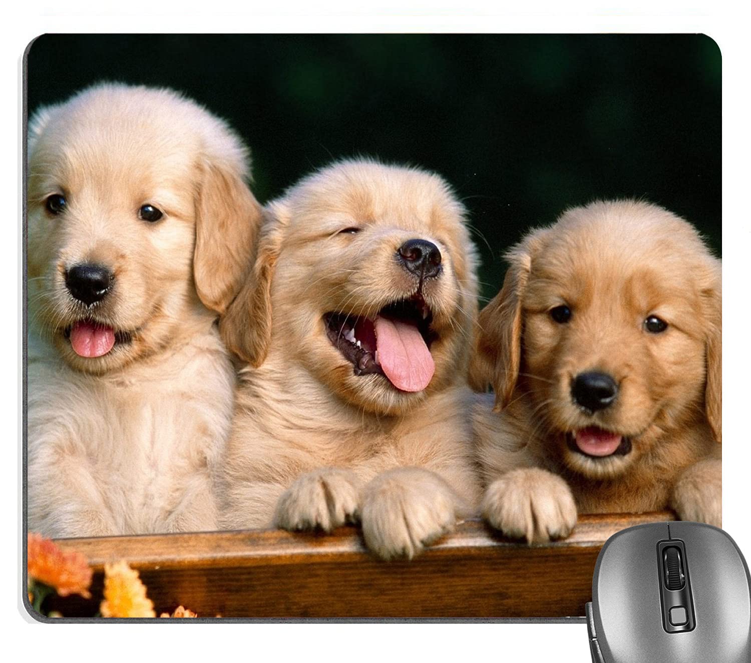 Knseva Cute Golden Retriever Dogs Rectangle Mouse Pad, Lovely Puppies Pets Gaming Mouse Pads For Office Work Decor