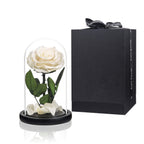 Preserved Rose White Roses In Glass Dome, Long Lating Rose Real Roses Never Withered Flower Gifts For Her, Valentine'S Day, Moth