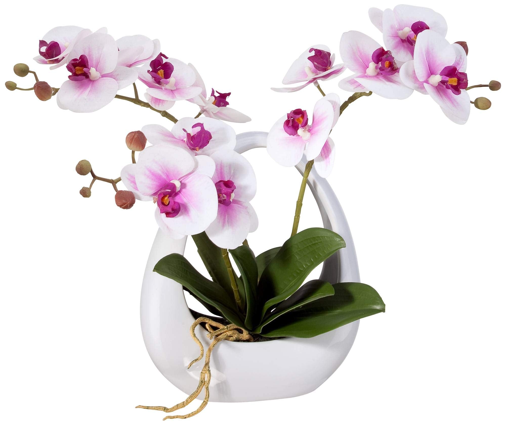Dahlia Studios Potted Silk Faux Artificial Flowers Realistic Pink White Phalaenopsis Orchid in White Pot for Home Decoration Liv