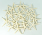 Starfish Decor - Star Fish For Craft - 20Pk Real 2-3'' White Sea Stars - Beach Wedding Decor - Coastal Party Decorations - Seash